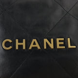 Chanel 22 Hobo Medium_IMG_0433.jpg