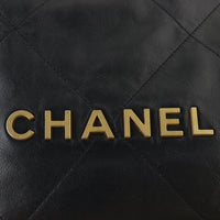 Chanel 22 Hobo Medium_IMG_0433.jpg