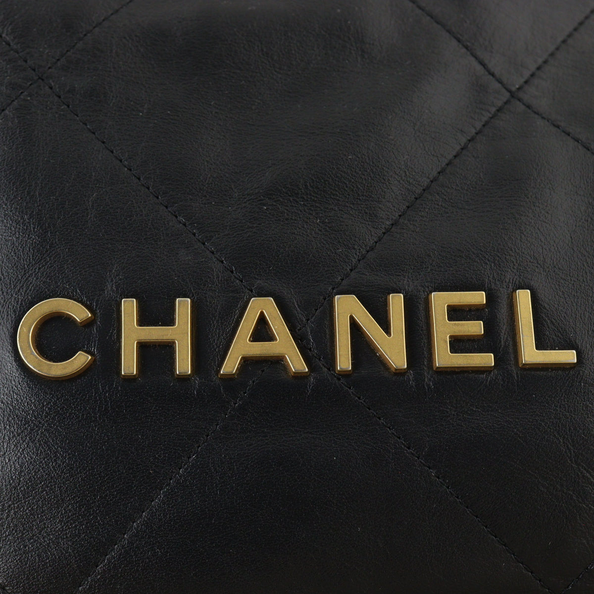 Chanel 22 Hobo Medium_IMG_0433.jpg