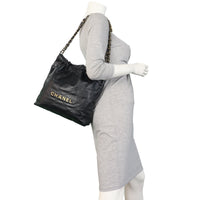 Chanel 22 Hobo Medium_IMG_0465.jpeg