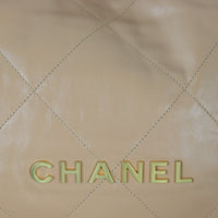Chanel 22 Hobo Medium_IMG_0545.jpg