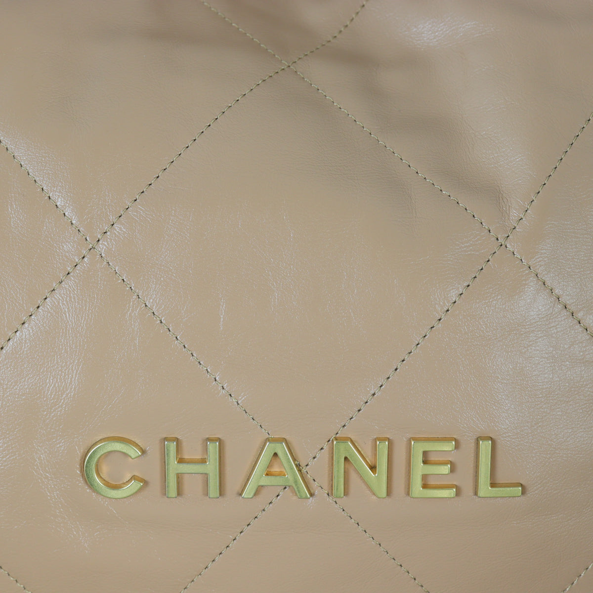 Chanel 22 Hobo Medium_IMG_0545.jpg