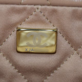 Chanel 22 Hobo Medium_IMG_0548.jpg