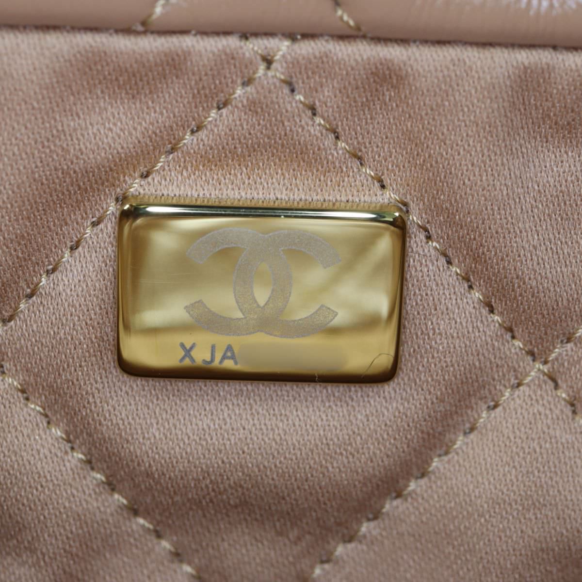 Chanel 22 Hobo Medium_IMG_0548.jpg