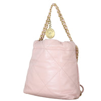 Chanel 22 Hobo Mini_IMG_4749.jpeg