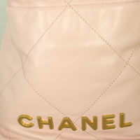 Chanel 22 Hobo Mini_IMG_4750.jpg