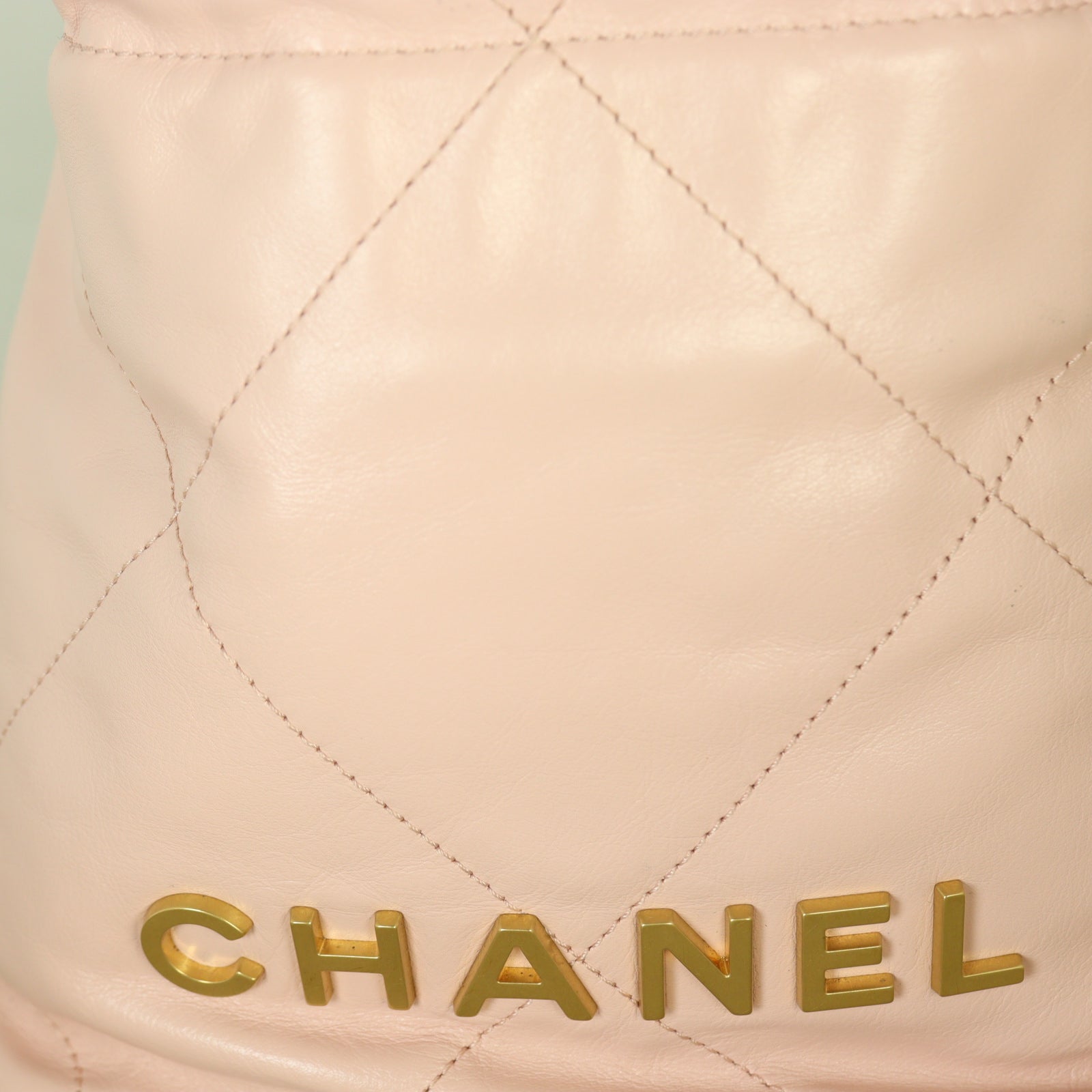 Chanel 22 Hobo Mini_IMG_4750.jpg