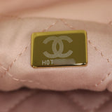 Chanel 22 Hobo Mini_IMG_4756.jpg