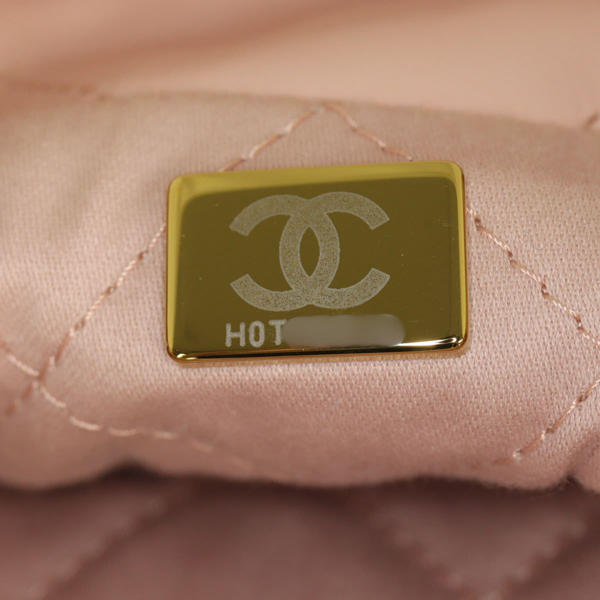 Chanel 22 Hobo Mini_IMG_4756.jpg