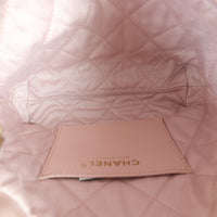 Chanel 22 Hobo Mini_IMG_4758.jpg