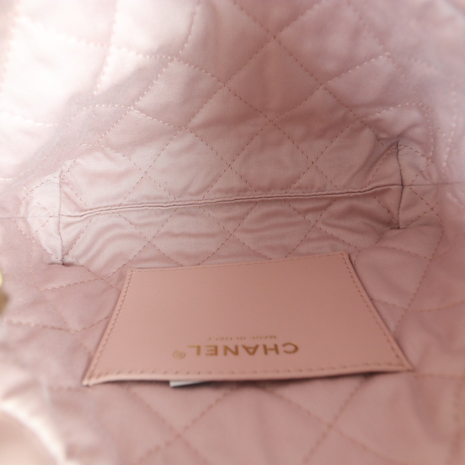 Chanel 22 Hobo Mini_IMG_4758.jpg