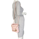 Chanel 22 Hobo Mini_IMG_4854.jpeg
