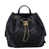 Chanel 25 Backpack Medium_IMG_6688.jpeg