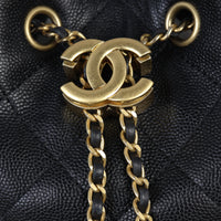 Chanel 25 Backpack Medium_IMG_6693.jpg