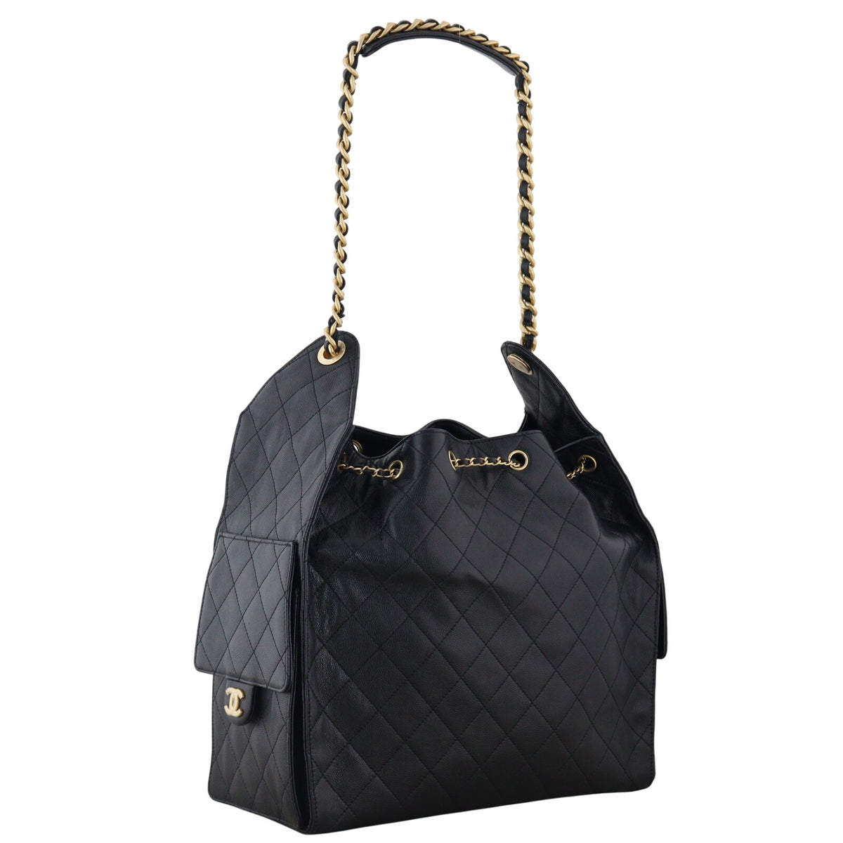 Chanel 25 Hobo Medium_IMG_0766.jpeg