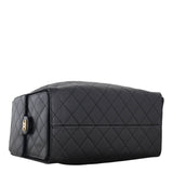Chanel 25 Hobo Medium_IMG_0767.jpeg
