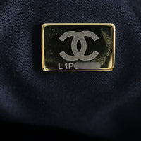 Chanel 25 Hobo Medium_IMG_077.jpg