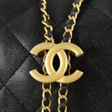 Chanel 25 Hobo Medium_IMG_0770.jpg