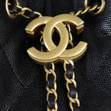 Chanel 25 Hobo Medium_IMG_3877.jpg