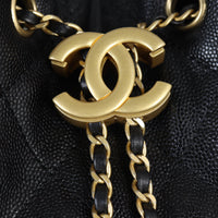 Chanel 25 Hobo Medium_IMG_3877.jpg