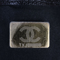 Chanel 25 Hobo Medium_IMG_3879.jpg