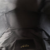 Chanel 25 Hobo Medium_IMG_3882.jpg