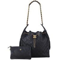 Chanel 25 Hobo Medium_IMG_4870.jpeg