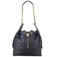 Chanel 25 Hobo Medium_IMG_4873.jpeg
