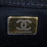Chanel 25 Hobo Mini Denim_IMG_6549.jpg