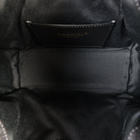 Chanel 25 Hobo Mini Denim_IMG_6550.jpg