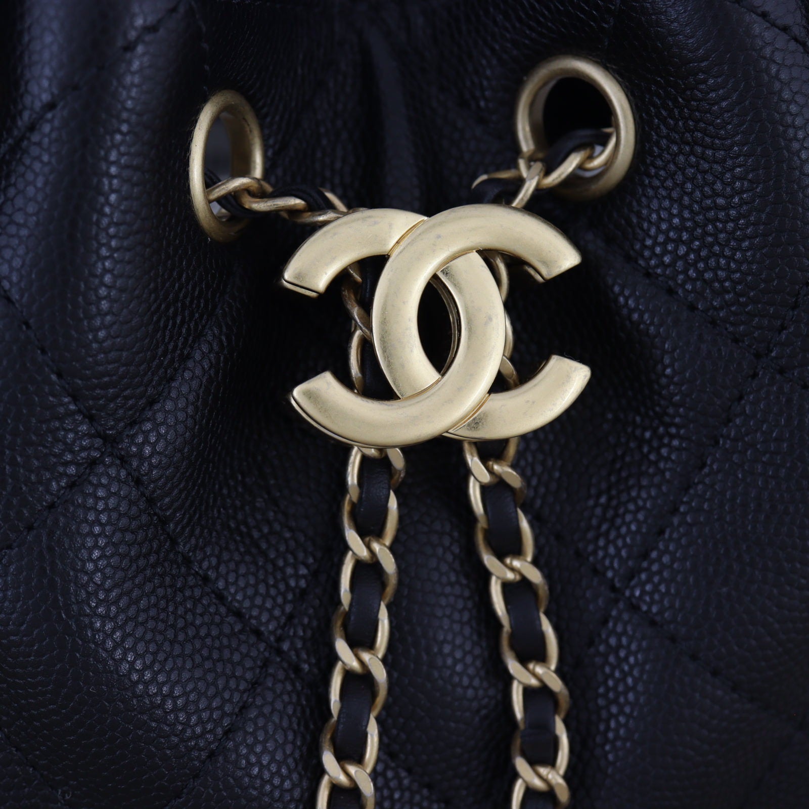 Chanel 25 Hobo Mini_IMG_1488.jpg