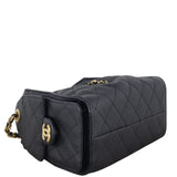 Chanel 25 Hobo Mini_IMG_1489.jpeg