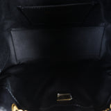 Chanel 25 Hobo Mini_IMG_1493.jpg