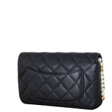 Chanel All About Pearls Wallet on Chain_IMG_5318.jpeg