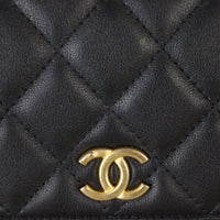 Chanel All About Pearls Wallet on Chain_IMG_5320.jpg