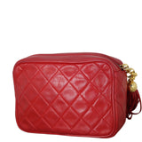 Chanel Asymmetric Flap Camera Bag_IMG_1077.jpeg