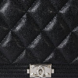 Chanel Boy Wallet on Chain_IMG_0184.jpg