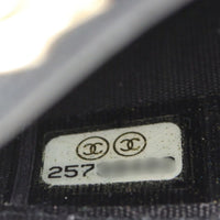 Chanel Boy Wallet on Chain_IMG_2704.jpg