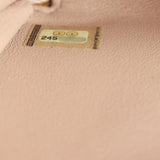 Chanel Business Affinity Flap Bag Mini_IMG_1149.jpg