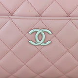 Chanel CC Camera Chain Bag_IMG_2663.jpg