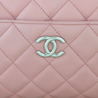 Chanel CC Camera Chain Bag_IMG_2663.jpg