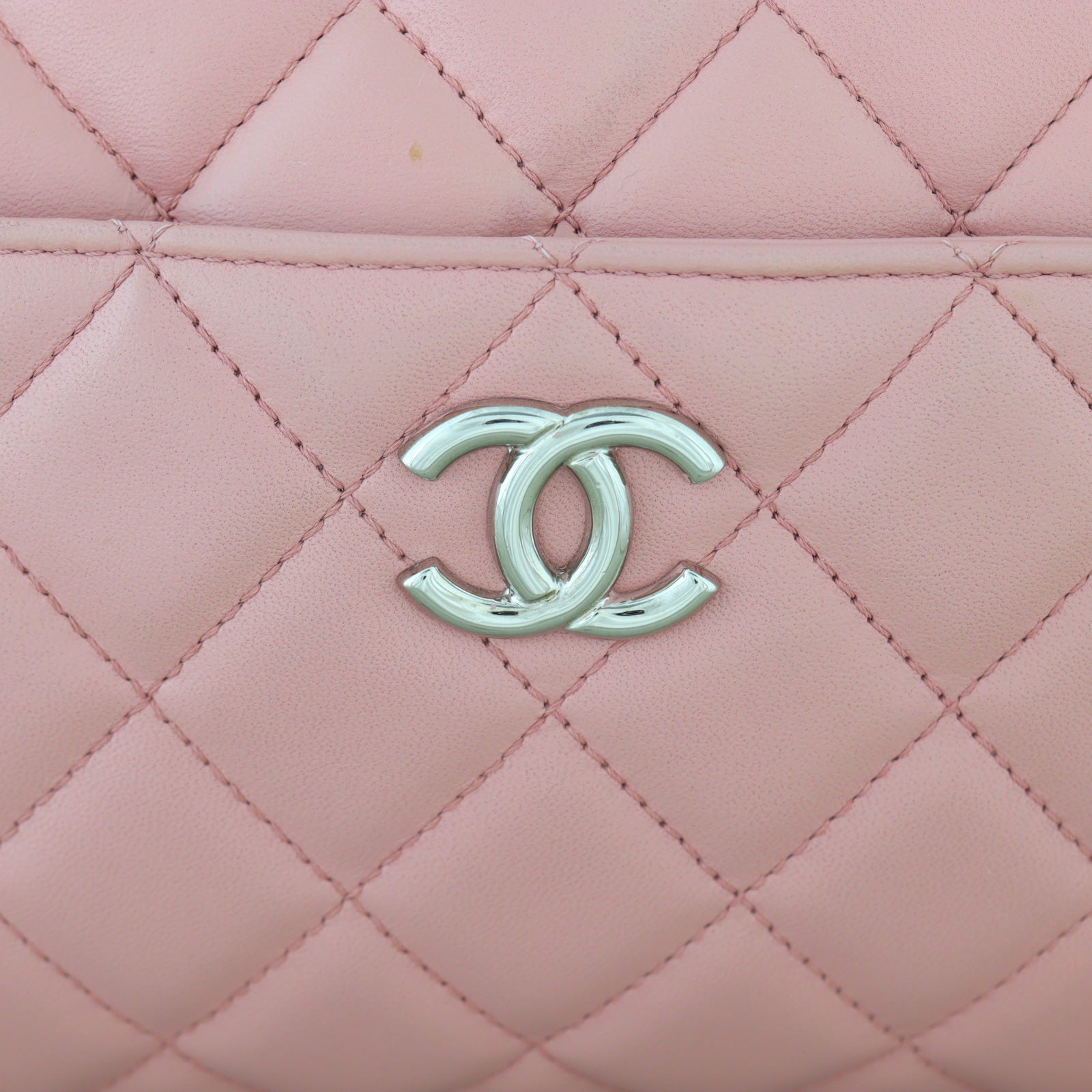 Chanel CC Camera Chain Bag_IMG_2663.jpg