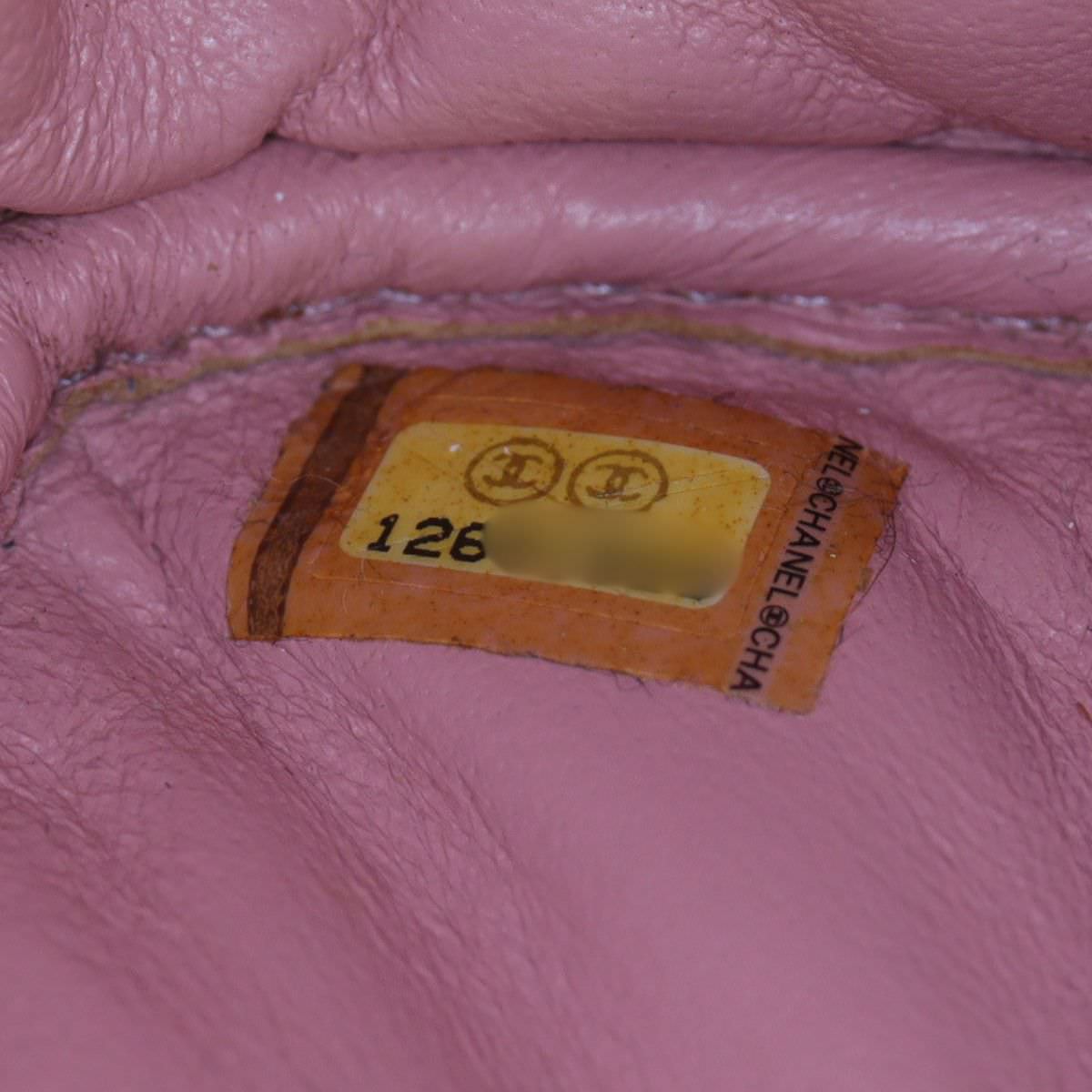 Chanel CC Camera Chain Bag_IMG_2675.jpg
