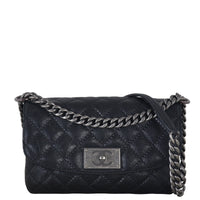 Chanel CC Chain Flap Bag_IMG_6989.jpeg