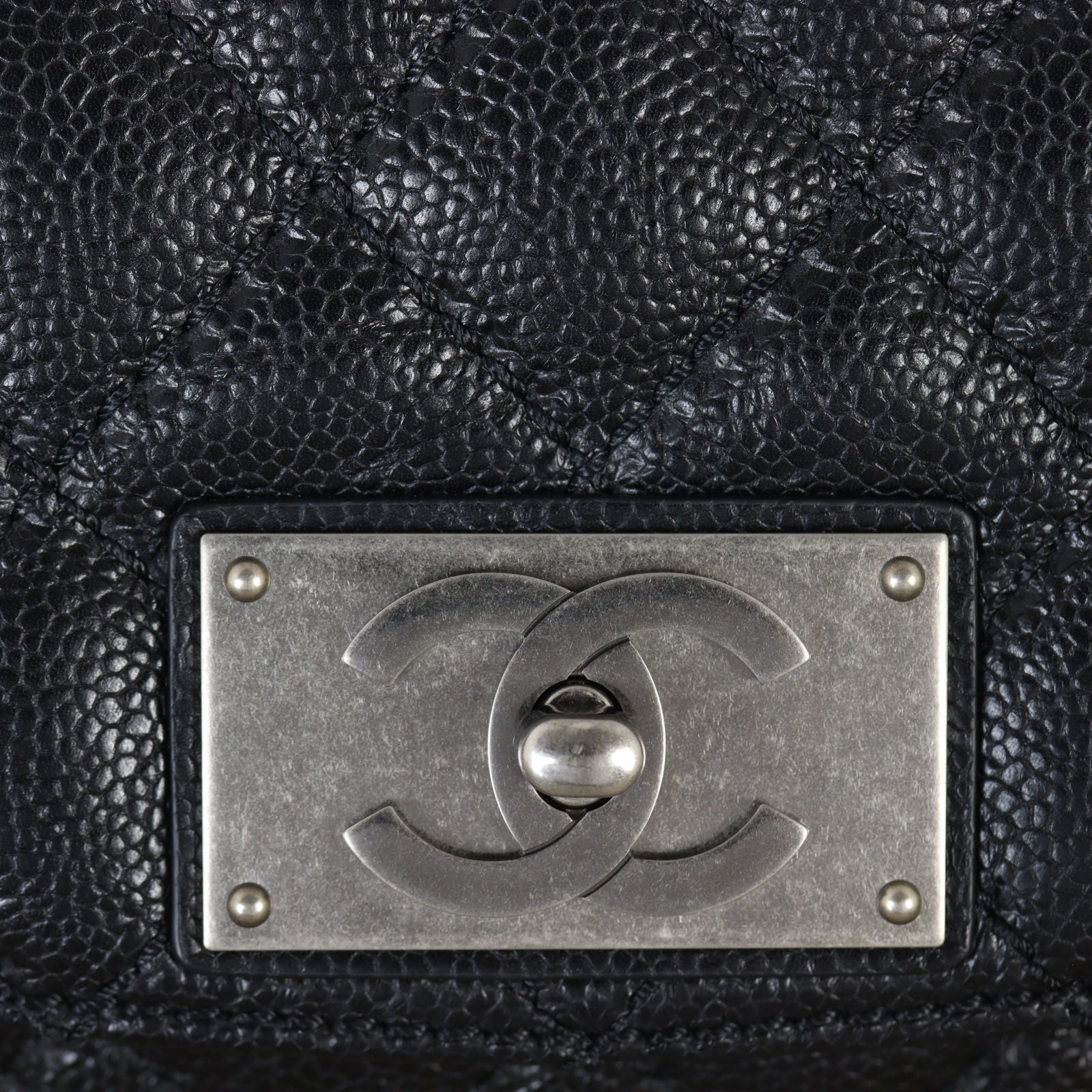 Chanel CC Chain Flap Bag_IMG_6996.jpg