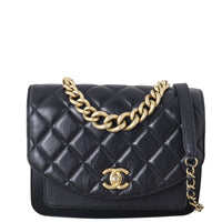 Chanel CC Chain Handle Flap Bag_IMG_8556.jpeg