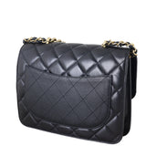 Chanel CC Chain Handle Flap Bag_IMG_8560.jpeg