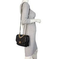 Chanel CC Chain Handle Flap Bag_IMG_8612.jpeg