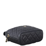 Chanel CC Chain Hobo Mini_IMG_6756.jpeg