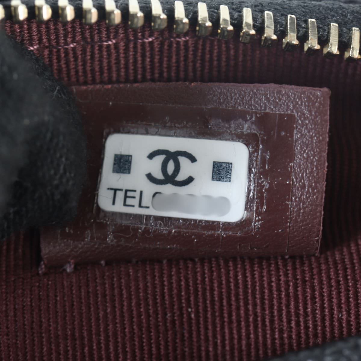 Chanel CC Chain Hobo Mini_IMG_6758.jpg